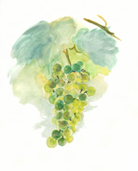 Green Grapes, by Kelli Fifield