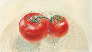Vine on Tomatoes, by Kelli Fifield