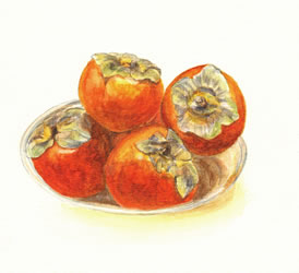 Persimmons, by Kelli Fifield
